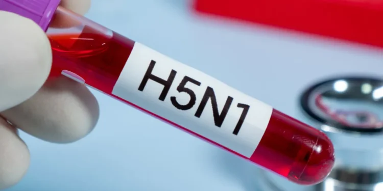 Honduras confirma primer caso de influenza aviar H5 en aves silvestres