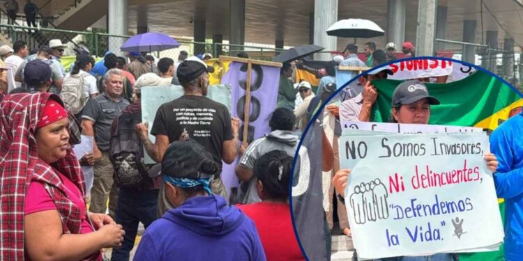 Organizaciones protestan contra privatización de la ENEE, y la Ley Agroindustrial: “Es una ley de muerte y despojo”