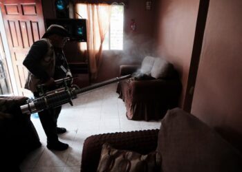 Dengue cobra su primera víctima mortal de 2026 en Honduras: joven de 22 años fallece por cuadro grave
