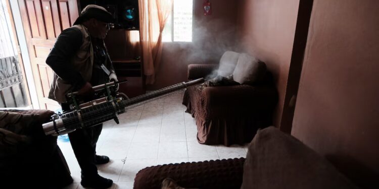 Dengue cobra su primera víctima mortal de 2026 en Honduras: joven de 22 años fallece por cuadro grave