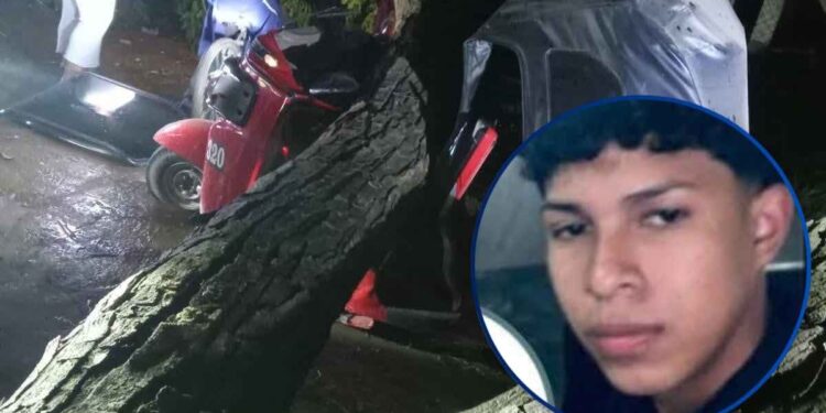 Salió a trabajar en su mototaxi sin imaginar que la muerte lo esperaba bajo un enorme árbol | Móvil Emergencia SPS