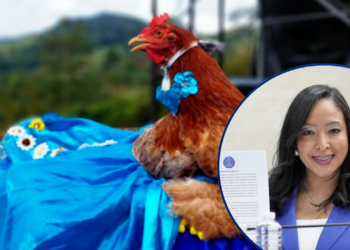 ¡Cacareo! Diputada propone al Congreso Nacional declarar el festival cultural de la gallina en Tatumbla, FM