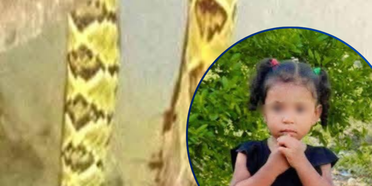 Menor de dos años se debate entre la vida y la muerte tras ser atacada por una serpiente en Comayagua