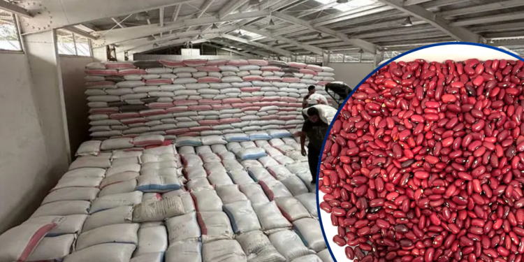 Gobierno de Honduras busca recuperar pérdidas por frijol deteriorado