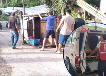 Una persona muerta y heridos tras volcar carro desenfrenado en Santa Bárbara