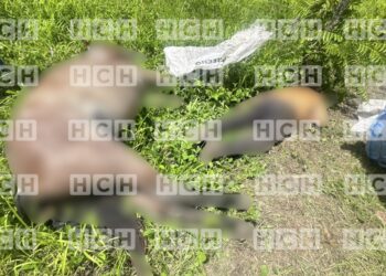 ¡Destino fatal! Hombre y su caballo mueren electrocutados tras recibir descarga eléctrica en Copán