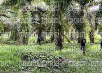 Encuentran sin vida a una persona en una plantación de palma en Choloma, Cortés