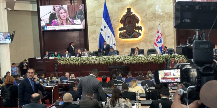 CN aprueba en su tercer debate reformar el código penal para endurecer penas entre 25 y 60 años por femicidio