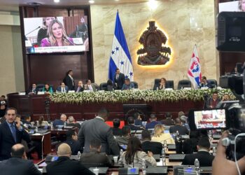 CN aprueba en su totalidad reformas a la ley para fortalecer la lucha contra la violencia doméstica