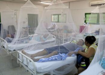 ¡Se encienden las alarmas! Departamento de Olancho en alerta roja por epidemia de dengue