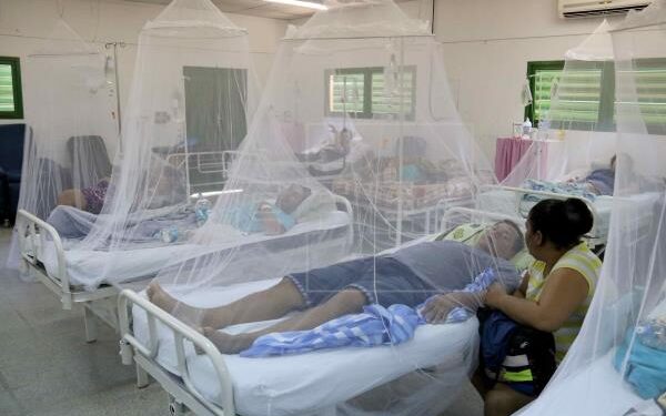 ¡Se encienden las alarmas! Departamento de Olancho en alerta roja por epidemia de dengue