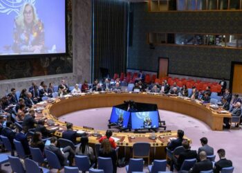 Palestina denuncia en la ONU que Israel usa la guerra para ampliar su ocupación