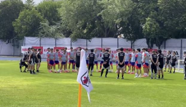 Japón está realmente molesto con la organización del mundial por el mal estado de las canchas mexicanas