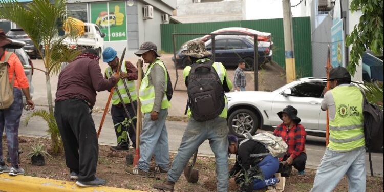 AMDC promueve una ciudad más verde con jornada de arborización en el bulevar Suyapa