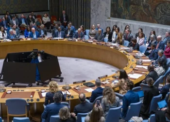 Portugal y Austria se incorporan como nuevos miembros europeos del Consejo de Seguridad de la ONU