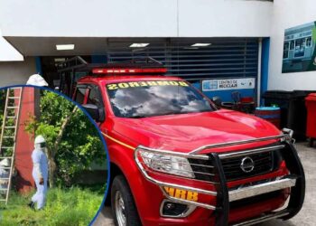 ¡Buscaba el sustento y encontró la muerte! Abejas matan a un abuelo mientras chapeaba terreno en La Lima