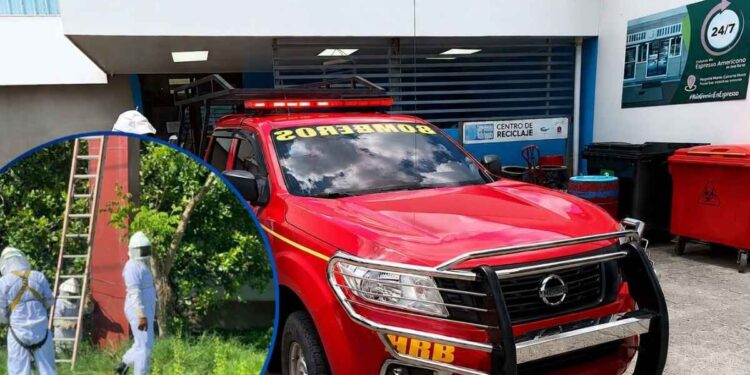 ¡Buscaba el sustento y encontró la muerte! Abejas matan a un abuelo mientras chapeaba terreno en La Lima