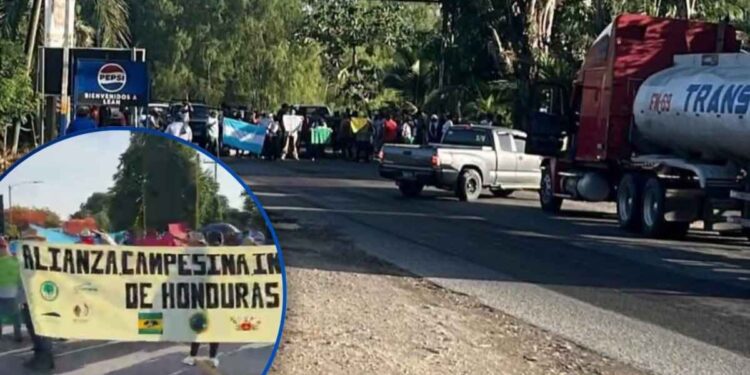 ¡Con diversas exigencias! Campesinos protestan en El Progreso, Colón y La Paz
