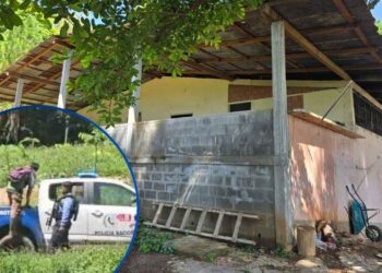 ¡Del lobo, un pelo! Detenidos y decomisos, tras operativo en “un par” de construcciones ilegales en El Merendón