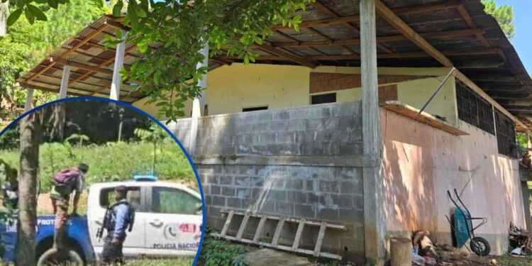 ¡Del lobo, un pelo! Detenidos y decomisos, tras operativo en “un par” de construcciones ilegales en El Merendón