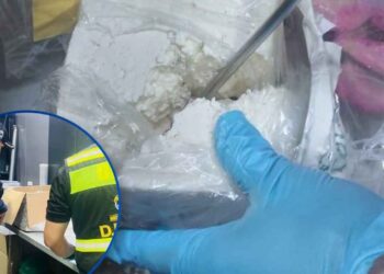 ¡Narcolácteos! Hallan cocaína en cajas de queso que iban como encomienda hacia EEUU