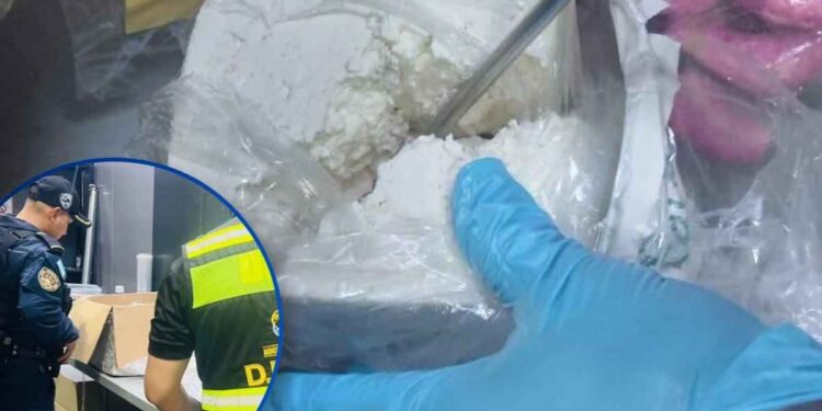 ¡Narcolácteos! Hallan cocaína en cajas de queso que iban como encomienda hacia EEUU