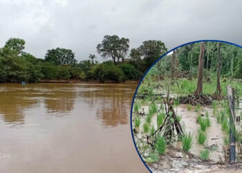 Alistan ayuda humanitaria para familias afectadas por las lluvias en Gracias a Dios