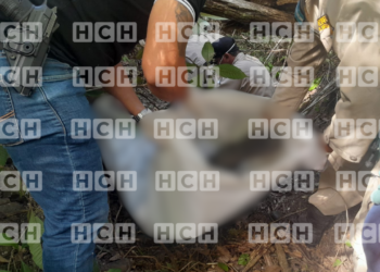Encuentran en estado de descomposición el cuerpo sin vida de un hombre en Campamento, Olancho