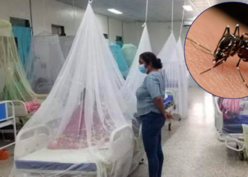 Dengue en Honduras