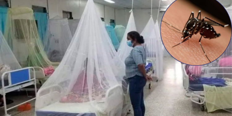 Dengue en Honduras
