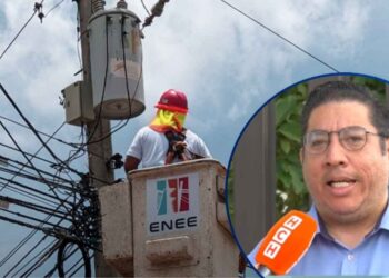 “Para rescatar la ENEE se necesitan ocho años, porque su problemática es grave”: Exministro de Energía