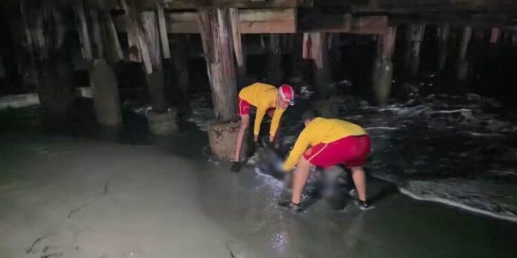 ¡Del tiroteo al mar! Investigan si cuerpo hallado flotando en La Ceiba es el de hombre atacado a balazos