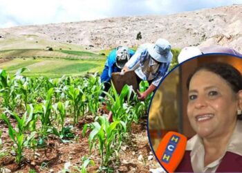 “No soy corrupta”: Exministra de la SAG por denuncia sobre manejo del Bono Tecnológico