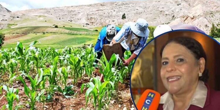 “No soy corrupta”: Exministra de la SAG por denuncia sobre manejo del Bono Tecnológico