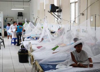 ¡Alerta sanitaria! En el departamento de Cortés autoridades reportan 395 casos de dengue