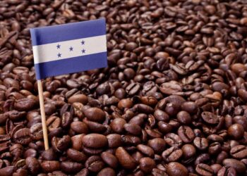 Café hondureño conquista 161 mercados internacionales y Estados Unidos se mantiene como su principal comprador