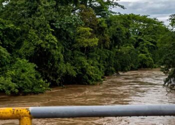 ¡Bajo el agua y aislados! Lluvias y crecida de ríos incomunican aldeas y arrasan cultivos en Catacamas
