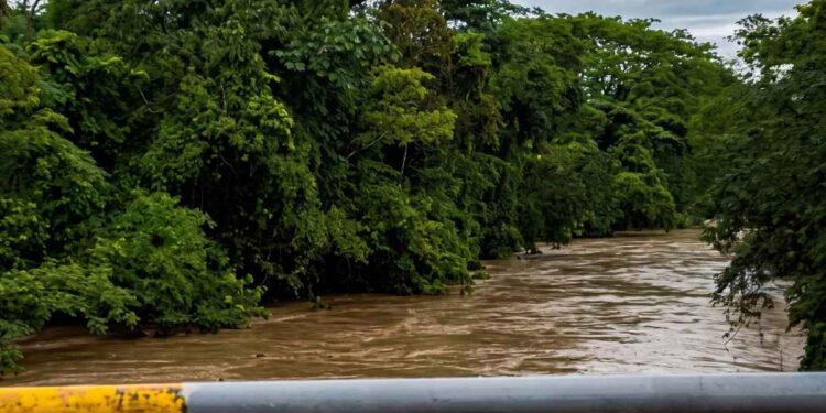 ¡Bajo el agua y aislados! Lluvias y crecida de ríos incomunican aldeas y arrasan cultivos en Catacamas