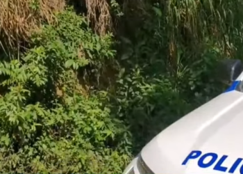 ¡La violencia no para! A mechetazos ultiman a joven en Las Flores, Lempira