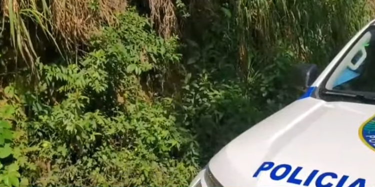 ¡La violencia no para! A mechetazos ultiman a joven en Las Flores, Lempira