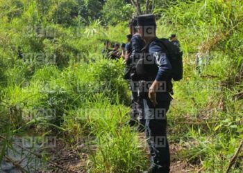 ¡Lo llevaron directo a la muerte! Torturado, atado y ejecutado hallan a joven en montarral de colonia Nueva Suyapa