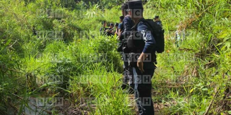 ¡Lo llevaron directo a la muerte! Torturado, atado y ejecutado hallan a joven en montarral de colonia Nueva Suyapa