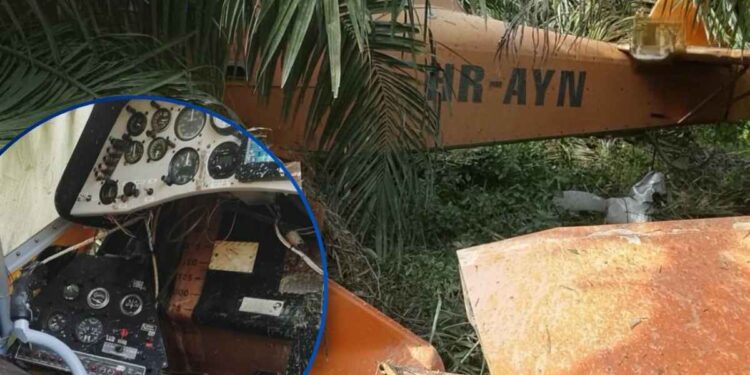 ¡Contra todo pronóstico! Piloto sobrevive tras estrellarse avioneta en La Lima