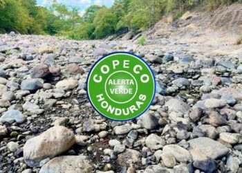 ¡Por sequía! Otros seis municipios de Honduras entrarán en alerta verde