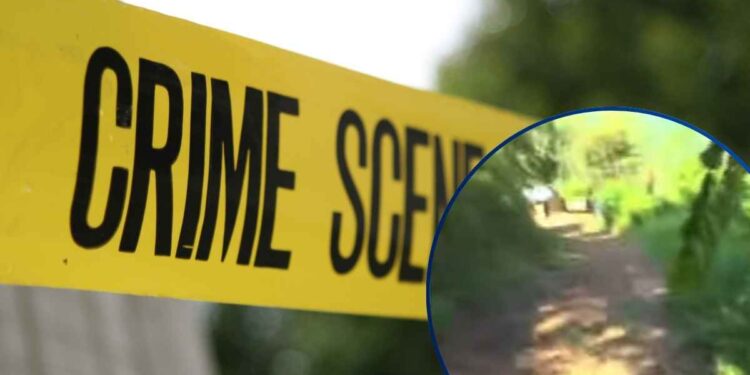 ¡Sigue corriendo la sangre! Cuando iba a trabajar, matan a agricultor en El Merendón